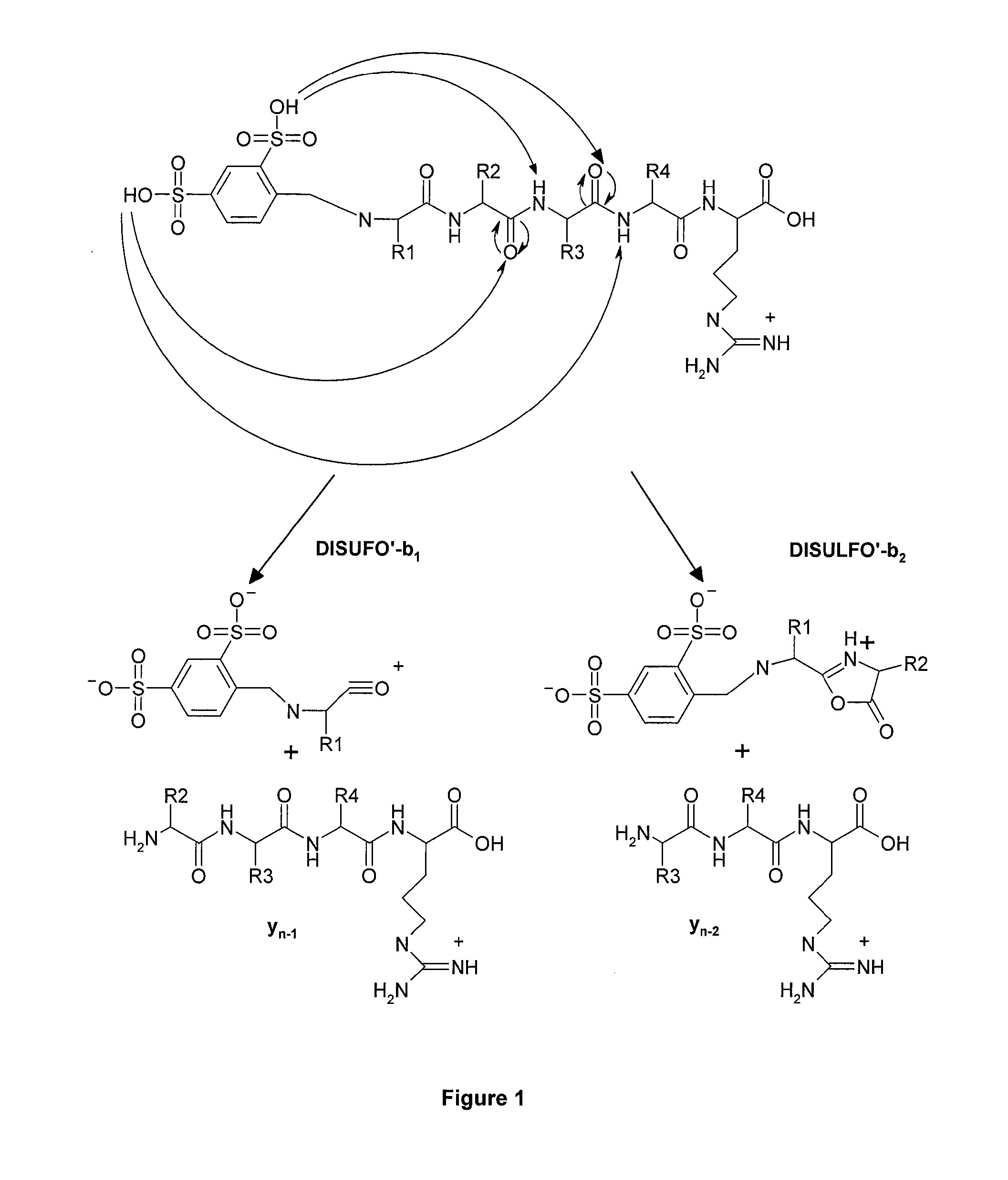 Mass Spectrometry-Based Protein Identification Method