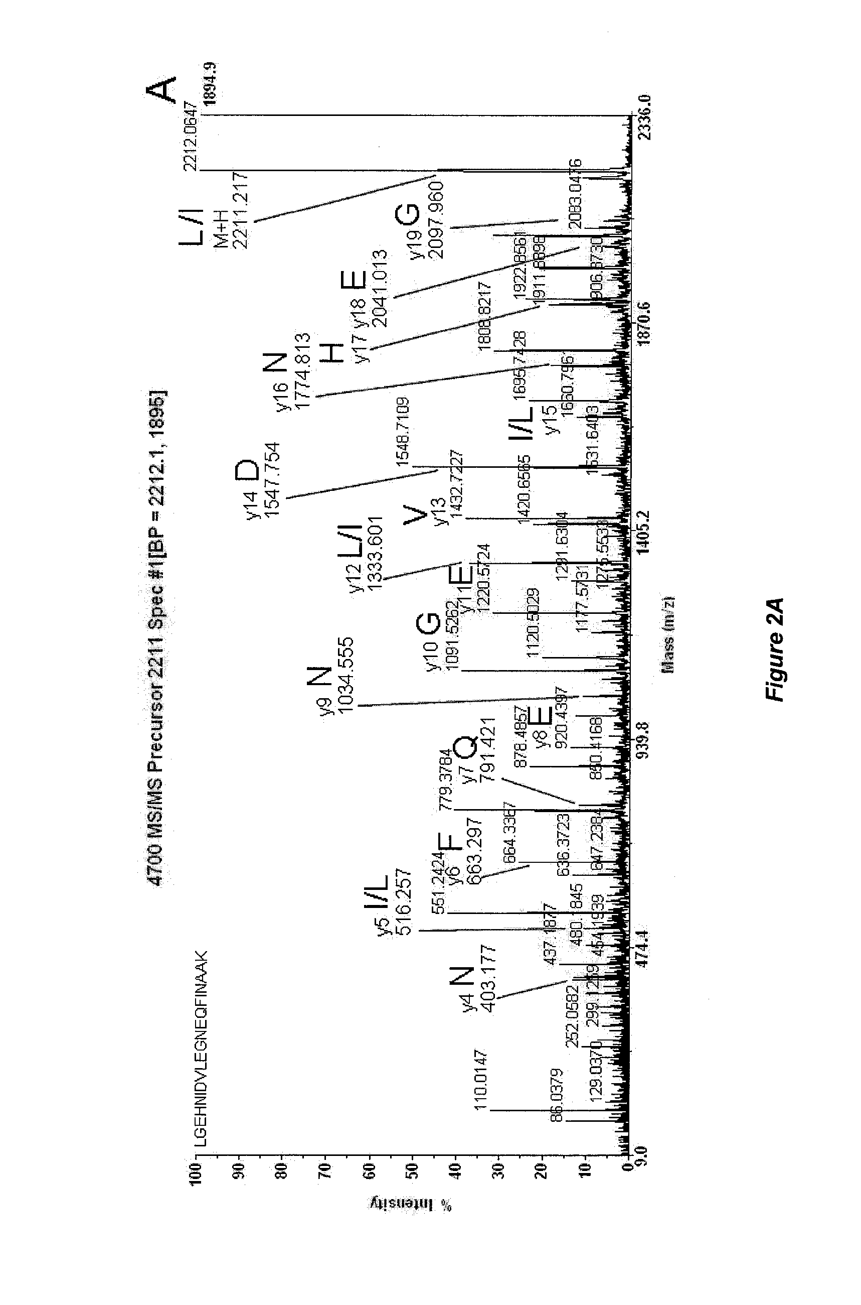 Mass Spectrometry-Based Protein Identification Method