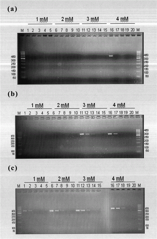 Primer, primer pair, method and reagent kit for simultaneously detecting four viruses