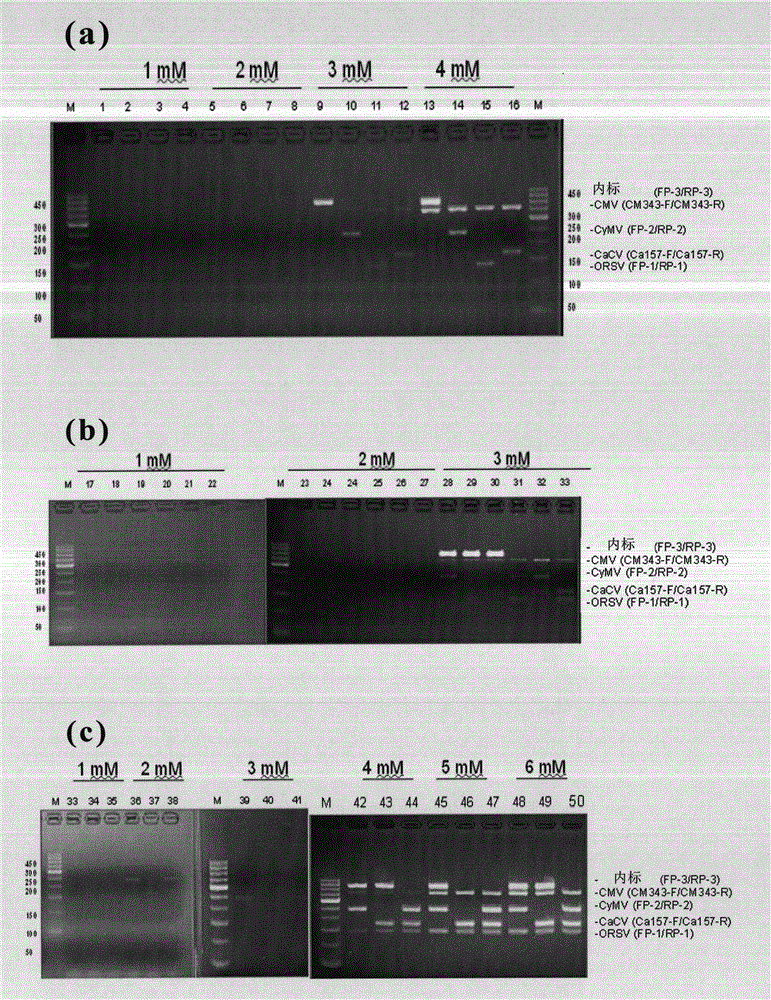 Primer, primer pair, method and reagent kit for simultaneously detecting four viruses