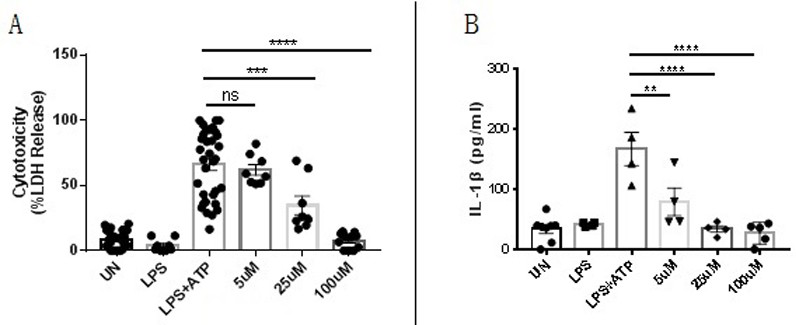 Application of Plerixafor in the preparation of drugs for preventing or treating gsdmd protein-related diseases