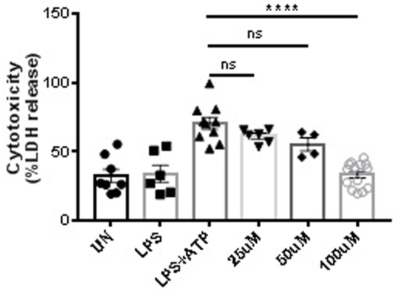 Application of Plerixafor in the preparation of drugs for preventing or treating gsdmd protein-related diseases