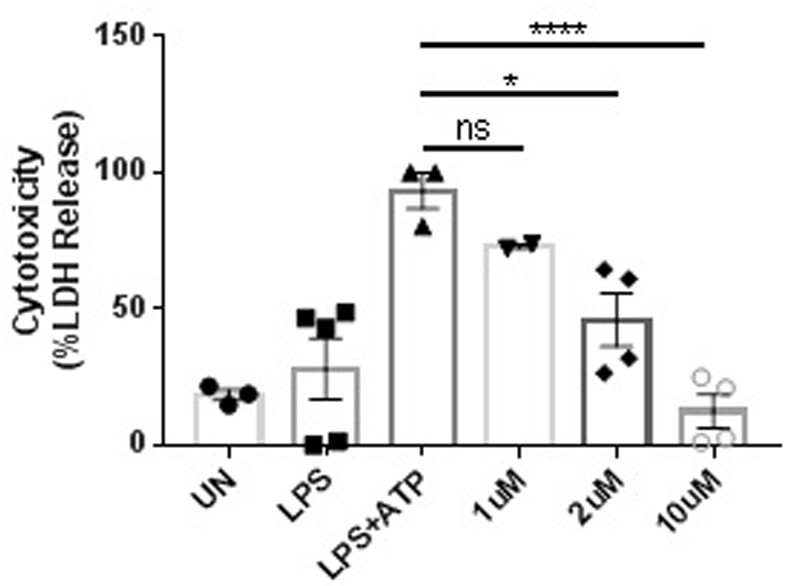 Application of Plerixafor in the preparation of drugs for preventing or treating gsdmd protein-related diseases