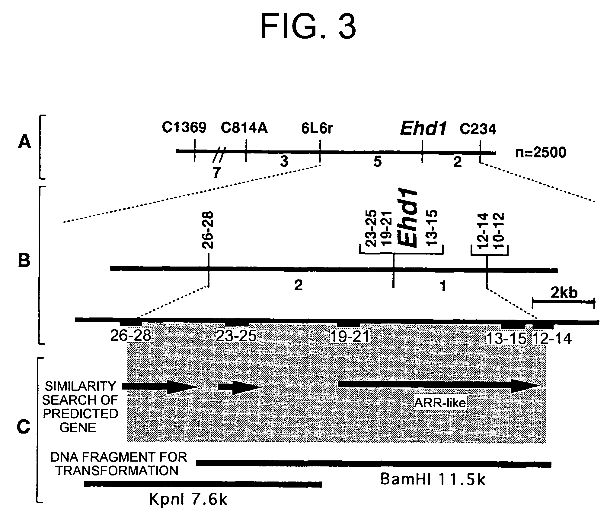 Ehd1 gene promoting plant flowering, and utilization thereof