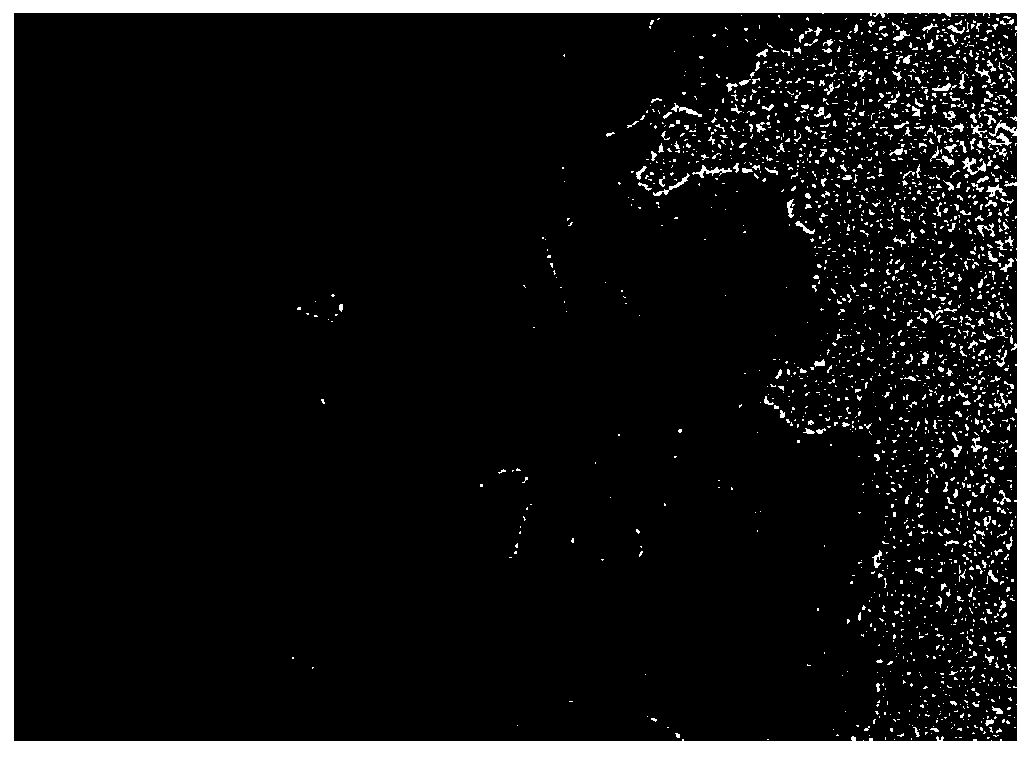 Electrochemical sensor for detecting mercury, its preparation method and application