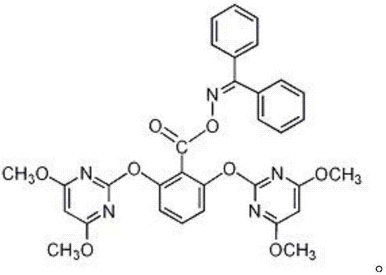 Weeding composition comprising metamifop and pyribenzoxim and application of weeding composition