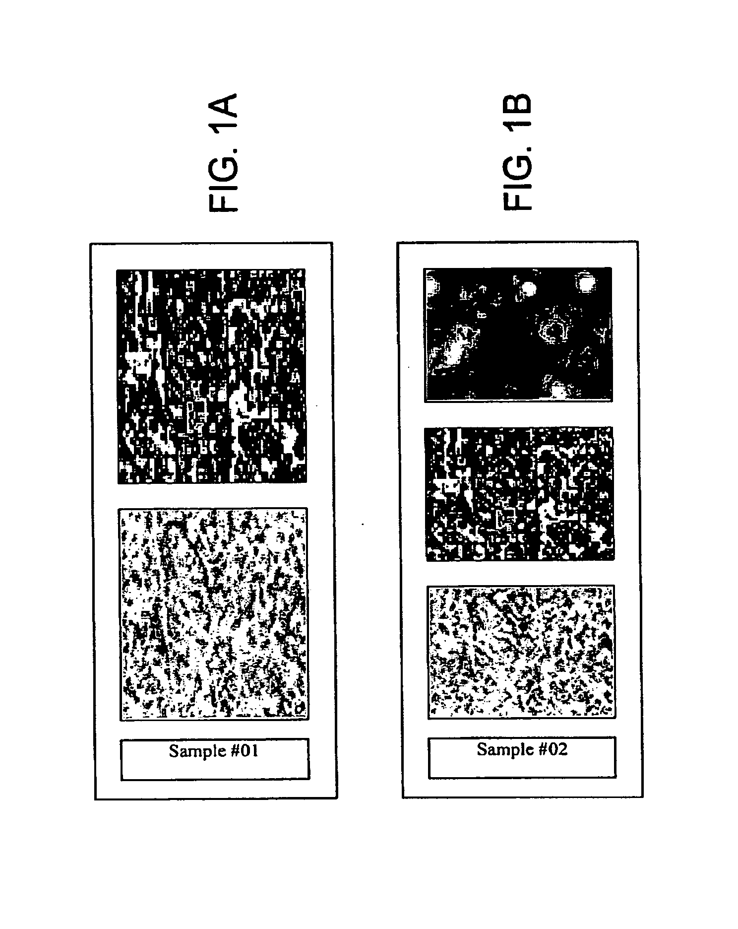 Method for Automated Tissue Analysis