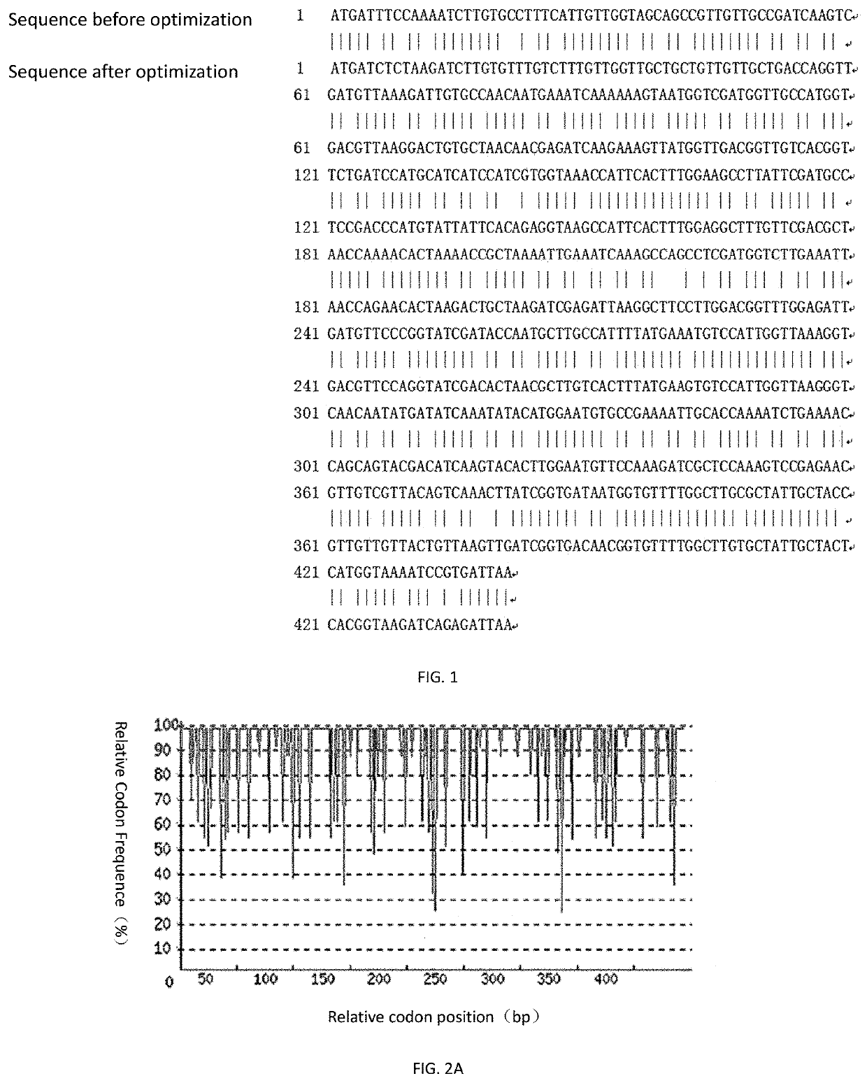 Recombinant Dermatophagoides Farinae Type 2 Allergen Protein and Its Preparation Method and Application