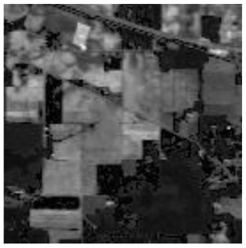 Hyperspectral image classification method based on novel neighborhood selection constraints