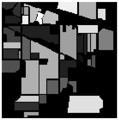 Hyperspectral image classification method based on novel neighborhood selection constraints