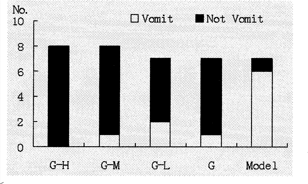 Granisetron and/or hydrochloride patch thereof