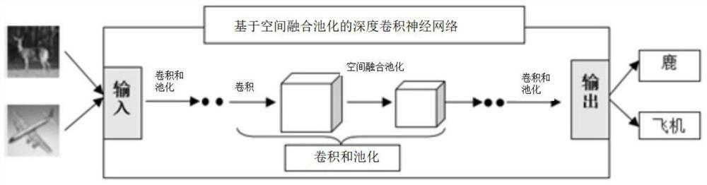 A Deep Neural Network Method Based on Spatial Fusion Pooling