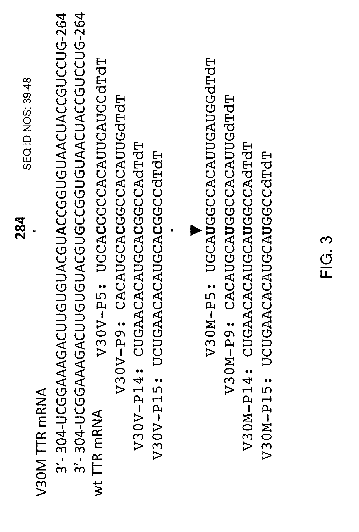 UNA oligomers and compositions for treating amyloidosis