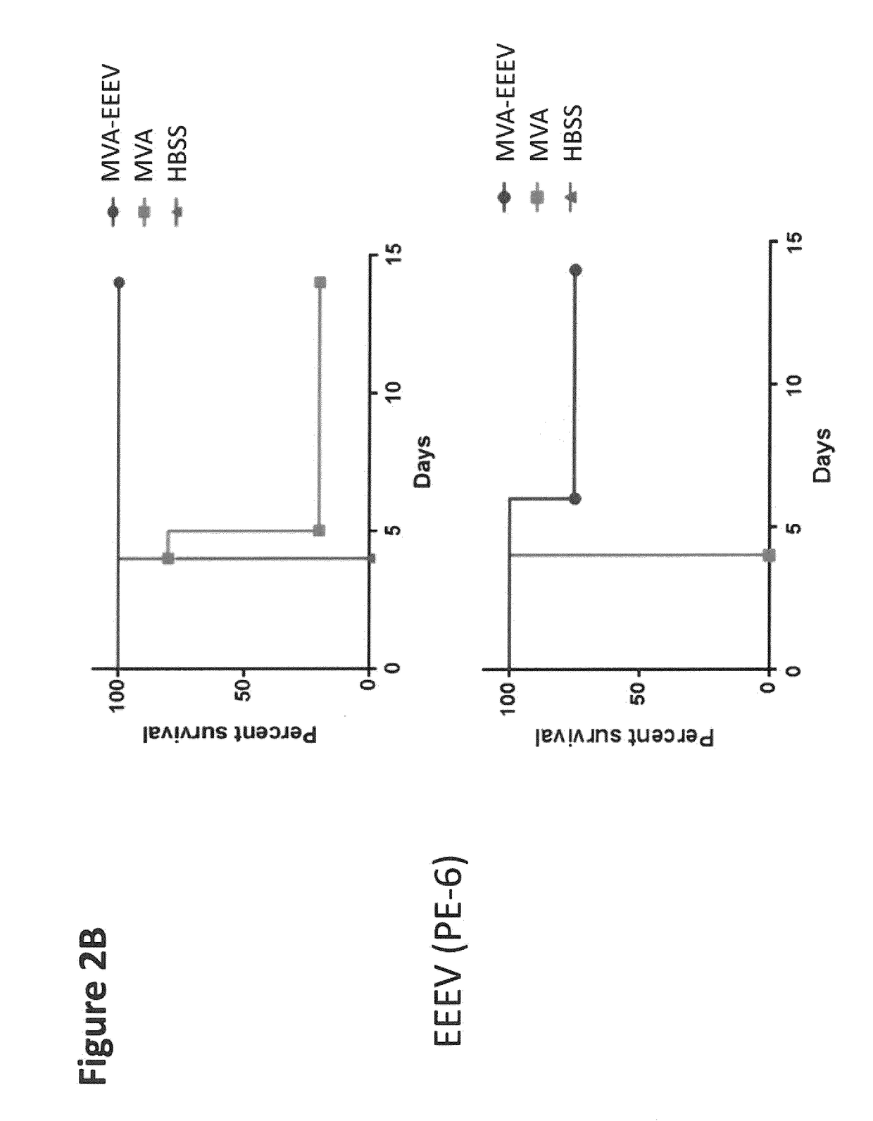 Recombinant modified vaccinia virus ankara (MVA) equine encephalitis virus vaccine