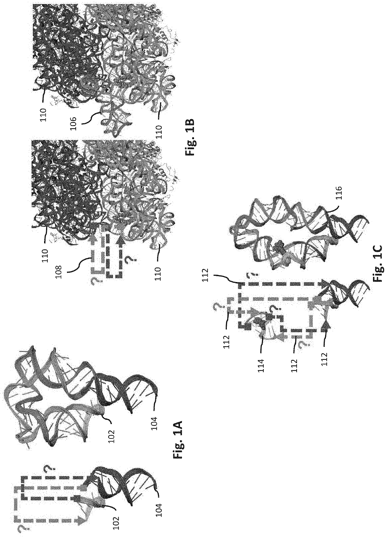 Systems and Methods for Designing RNA Nanostructures and Uses Thereof