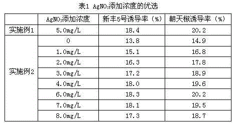 Formula of anther induction medium for cultivation of capsicum annuum variety