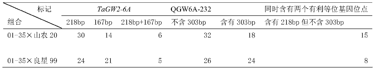Multi-site molecular marker assistant selection method capable of combining with conventional breeding whole process of wheat