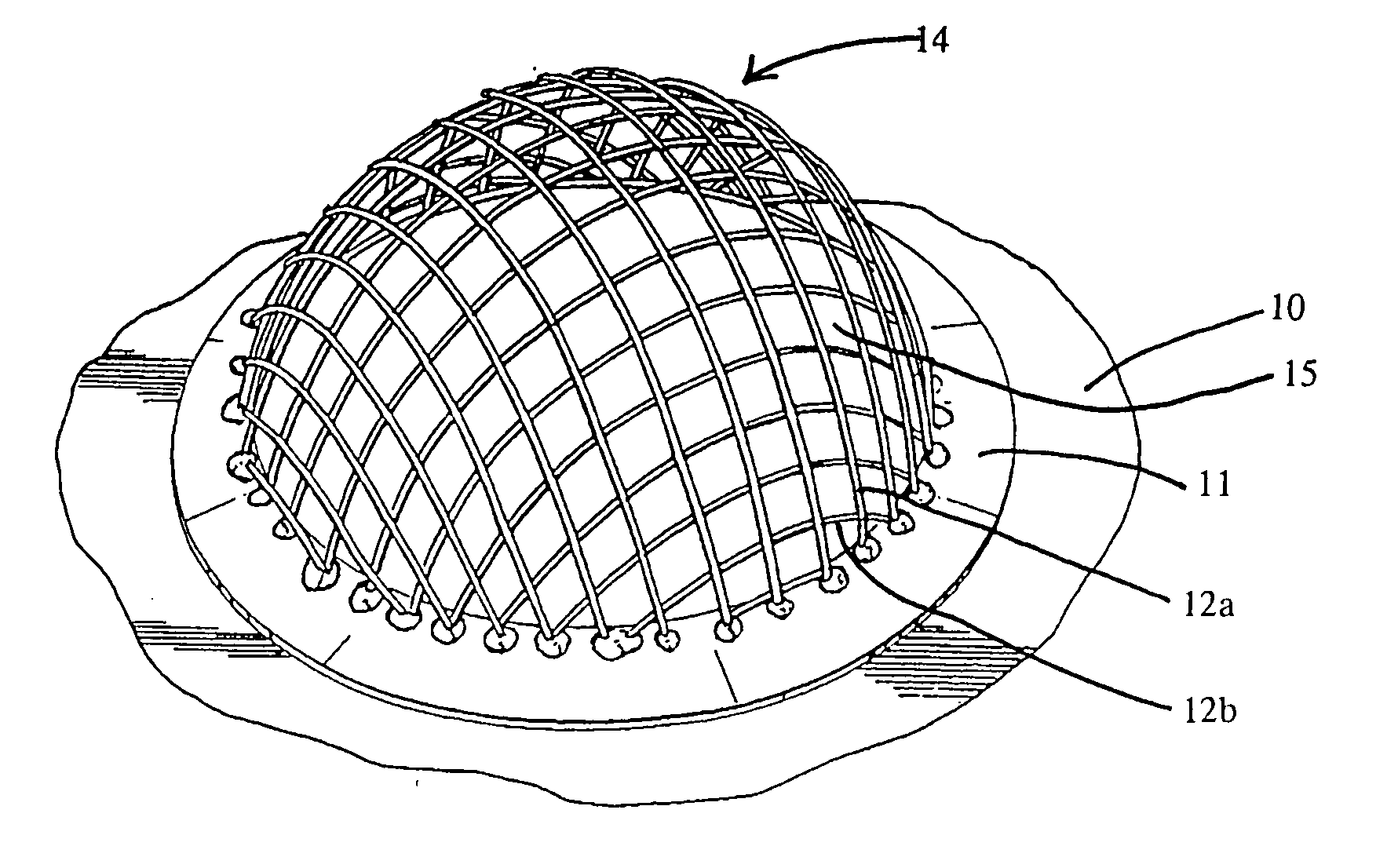 Device for sizing a human female breast
