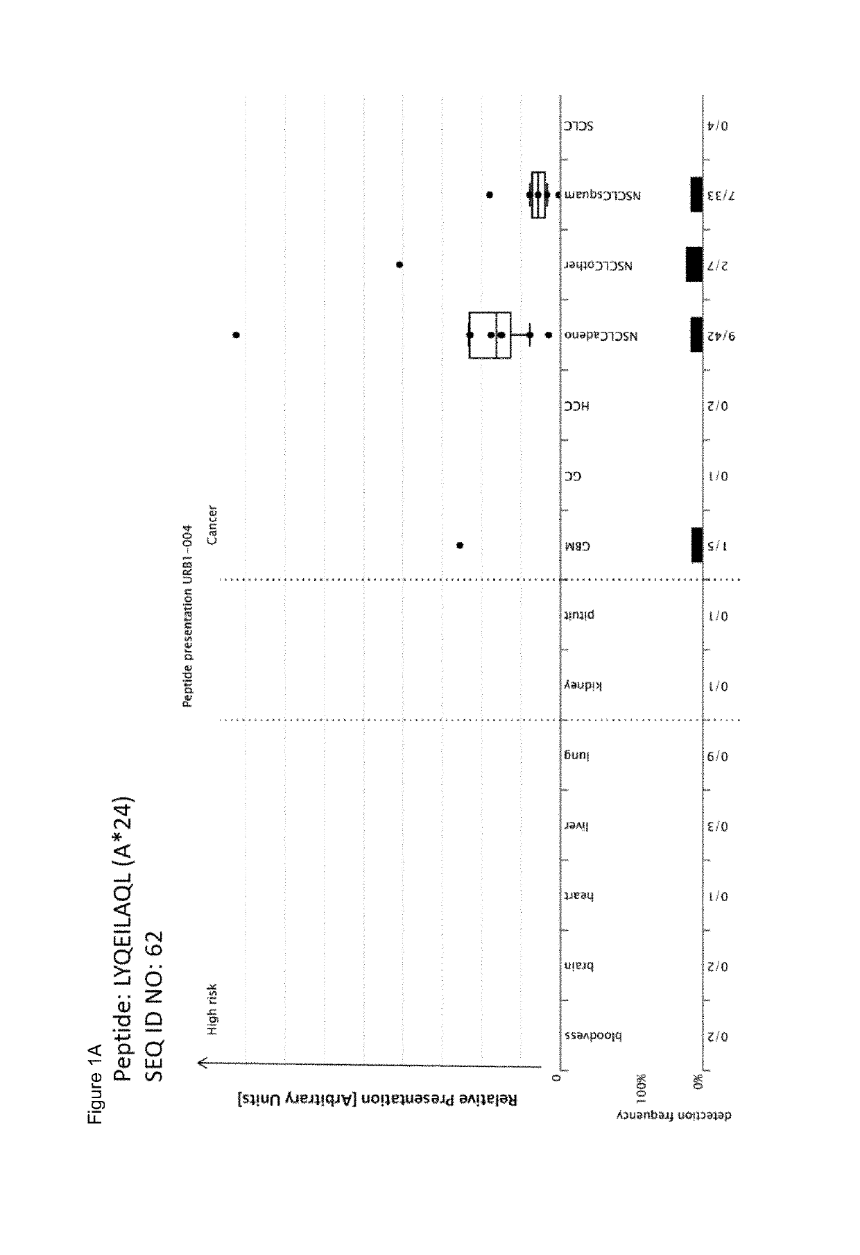 Peptides and combination of peptides for use in immunotherapy against lung cancer, including NSCLC, SCLC and other cancers