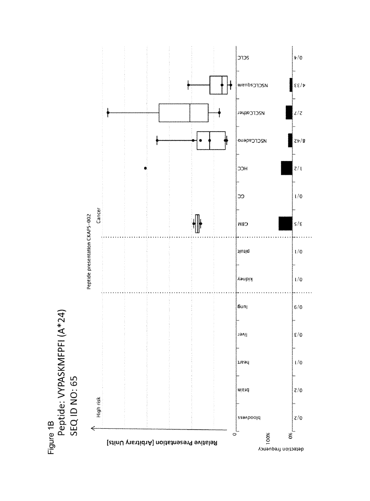 Peptides and combination of peptides for use in immunotherapy against lung cancer, including NSCLC, SCLC and other cancers