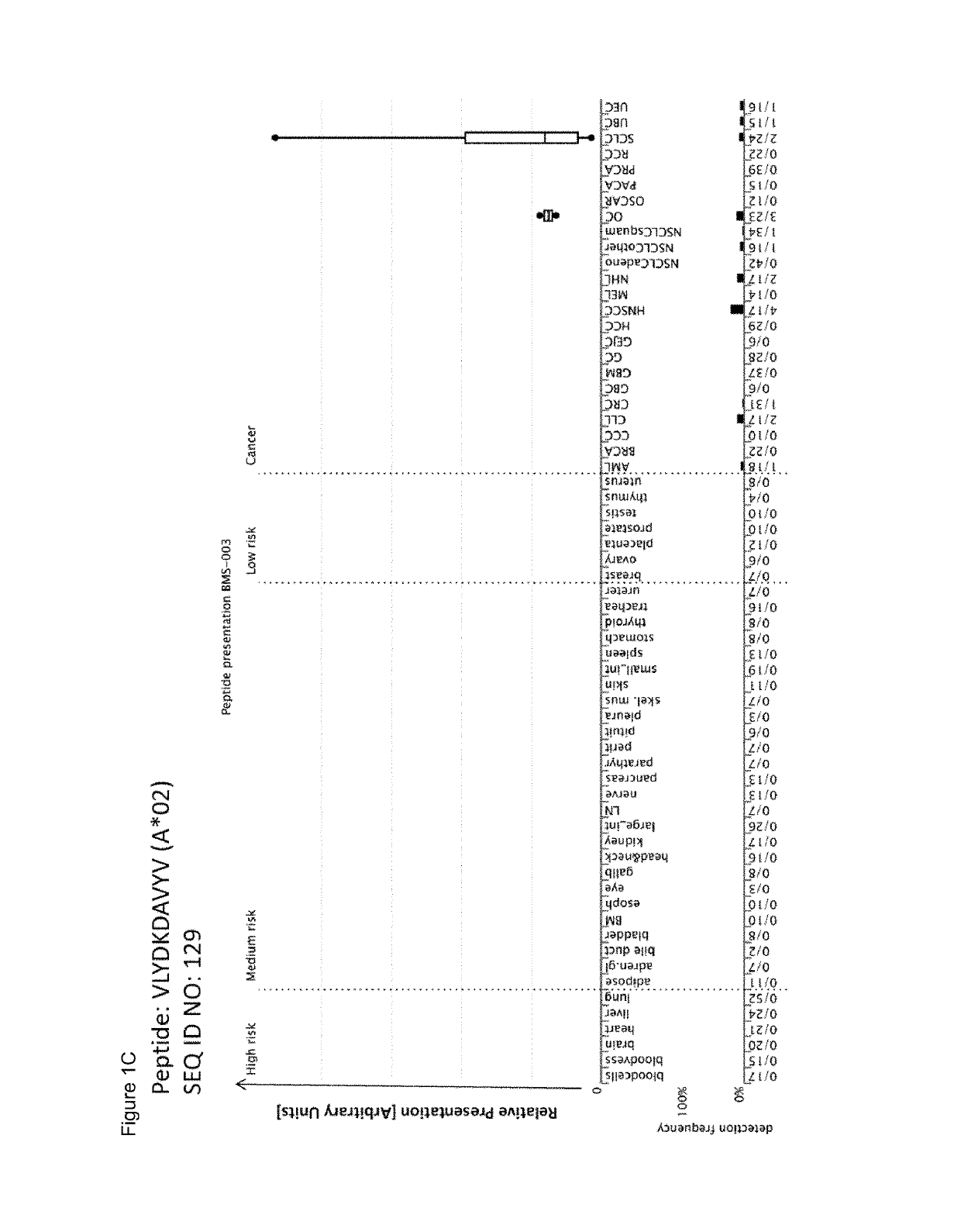 Peptides and combination of peptides for use in immunotherapy against lung cancer, including NSCLC, SCLC and other cancers