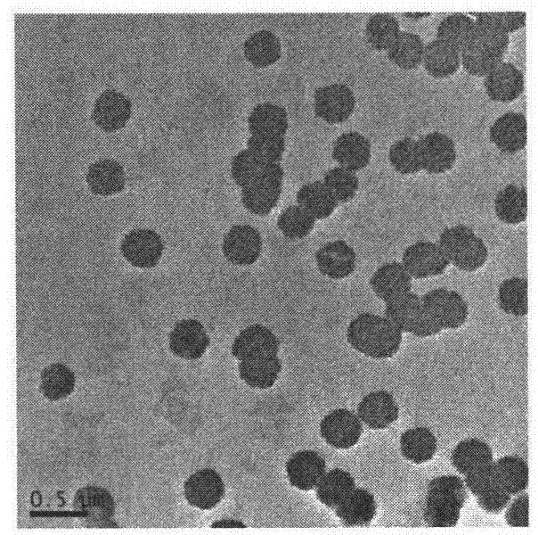 Preparation method of photosensitive conductive polyaniline nanoparticles