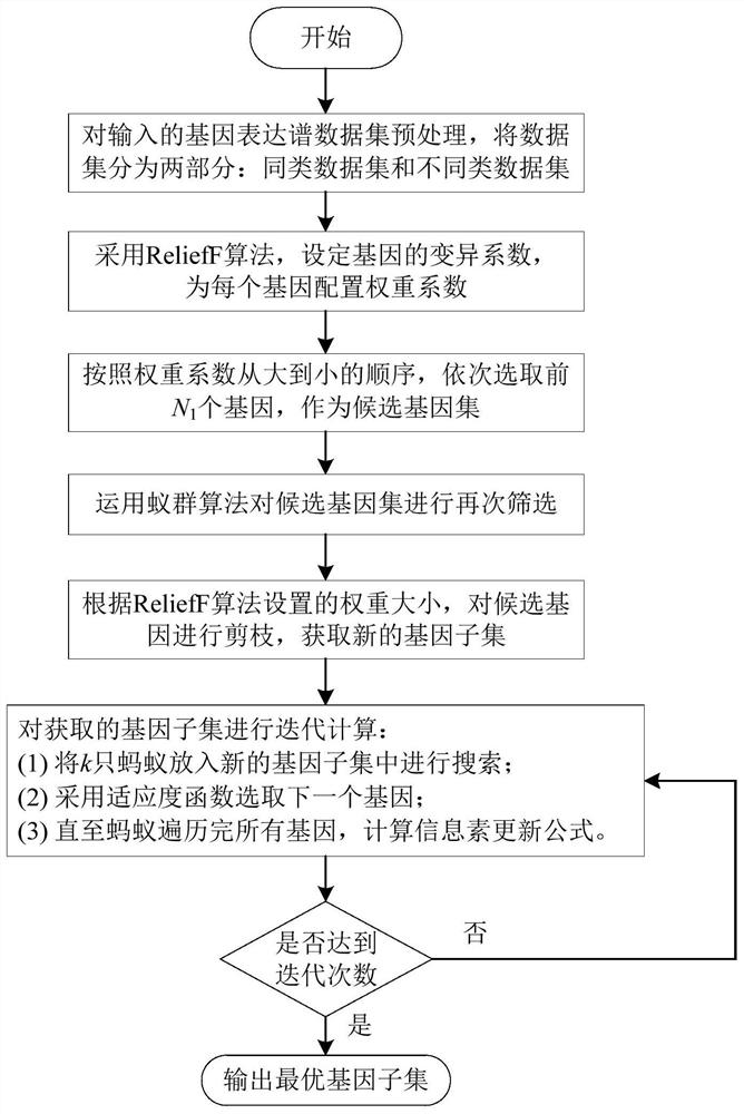Gene classification method and device