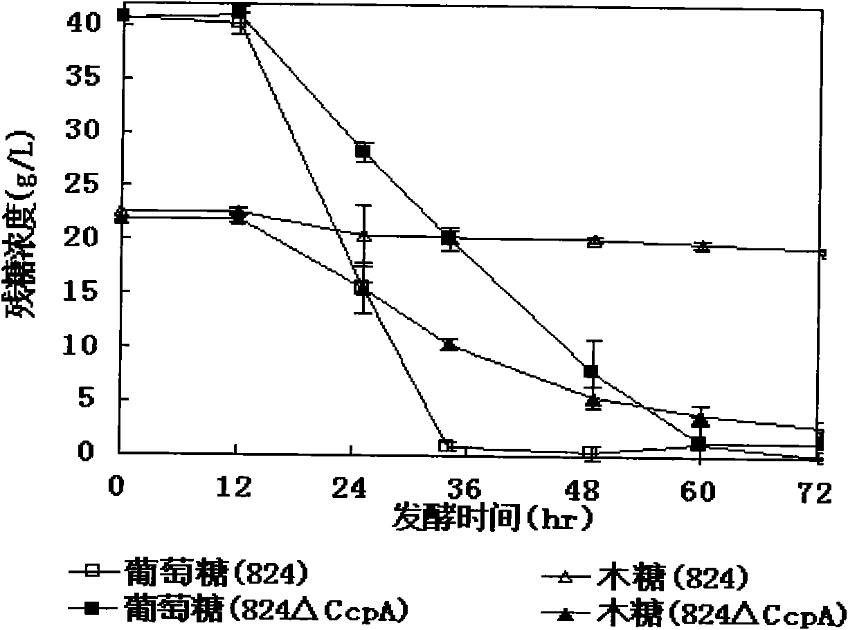 Method for eliminating glucose inhibition effect of clostridium acetobutylicum