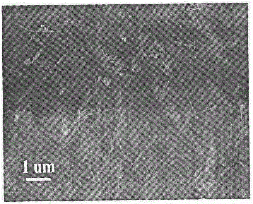 Oxide nanowire preparation method based on quantum dot modification