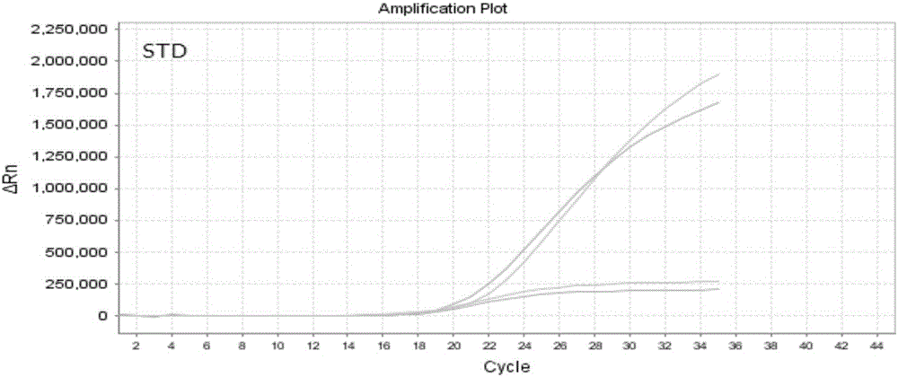 Nucleic acid, kit and method for detecting polymorphism of A118G locus of OPRM1 gene of human beings