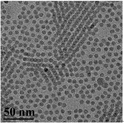 Method for preparing rare earth doped beta-NaYF4 upconversion nanocrystal with size of less than 8nm