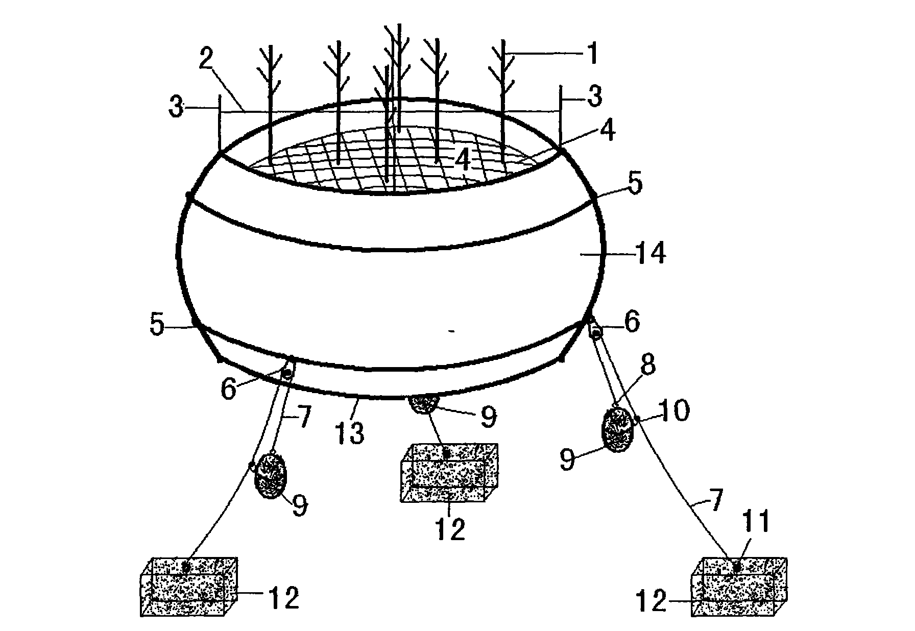 Device for growing big emerging plant on near water surface of deep water area of lake