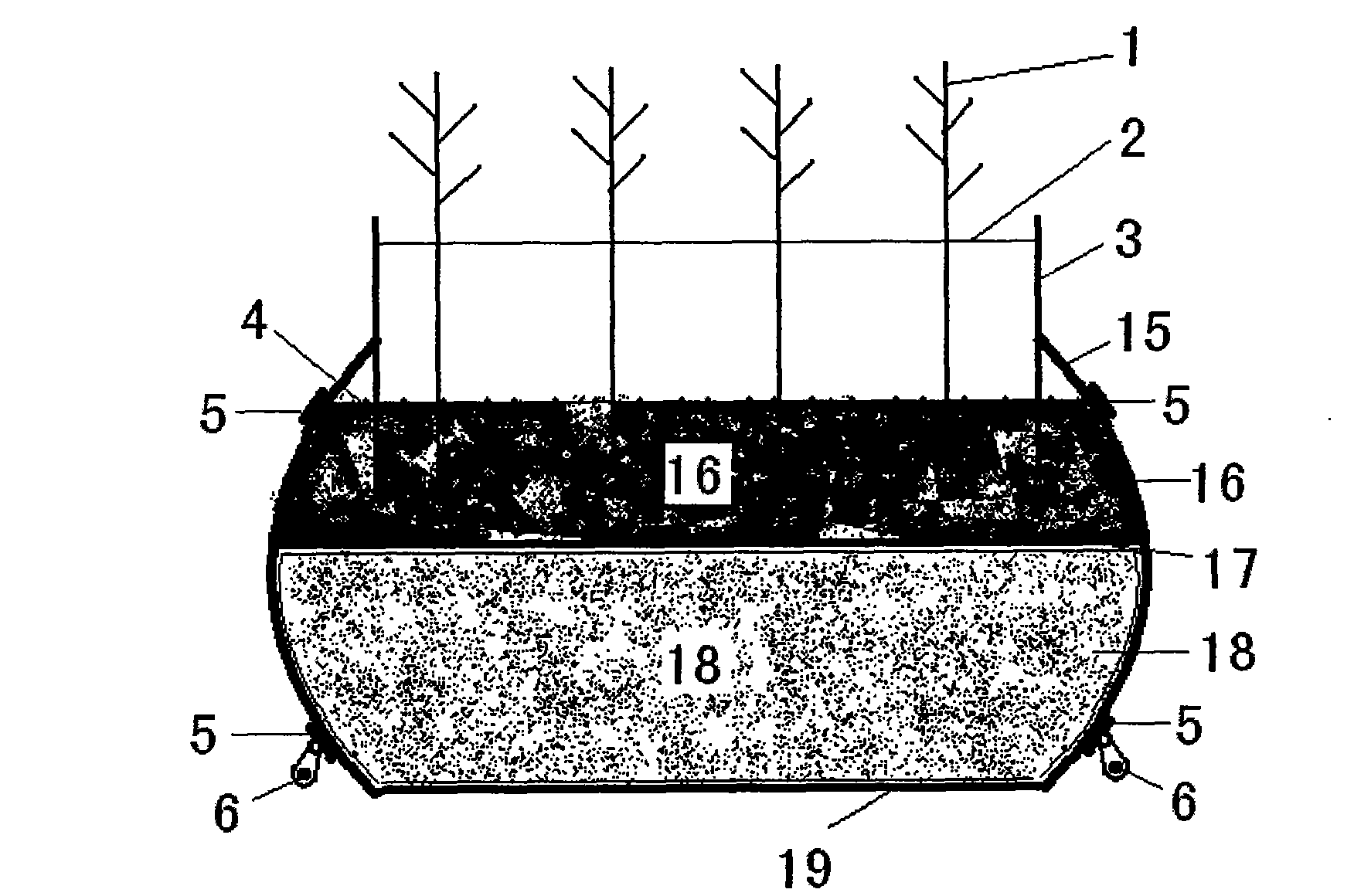 Device for growing big emerging plant on near water surface of deep water area of lake