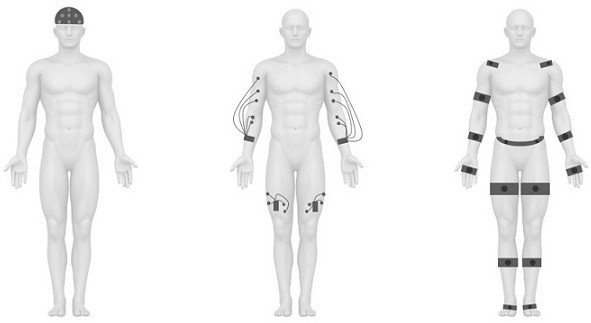 Quantitative evaluation method for two-way coupling information conduction path of human body and sensing system