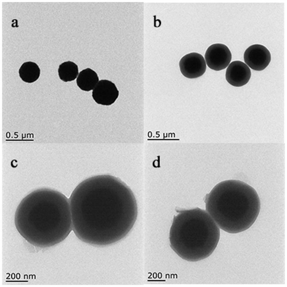 A preparation method and application of magnetic iron ferric oxide nanoparticles-ph responsive imprinted material