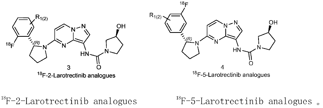 Radioactive fluorine labeled Larotrectinib compound and preparation method thereof