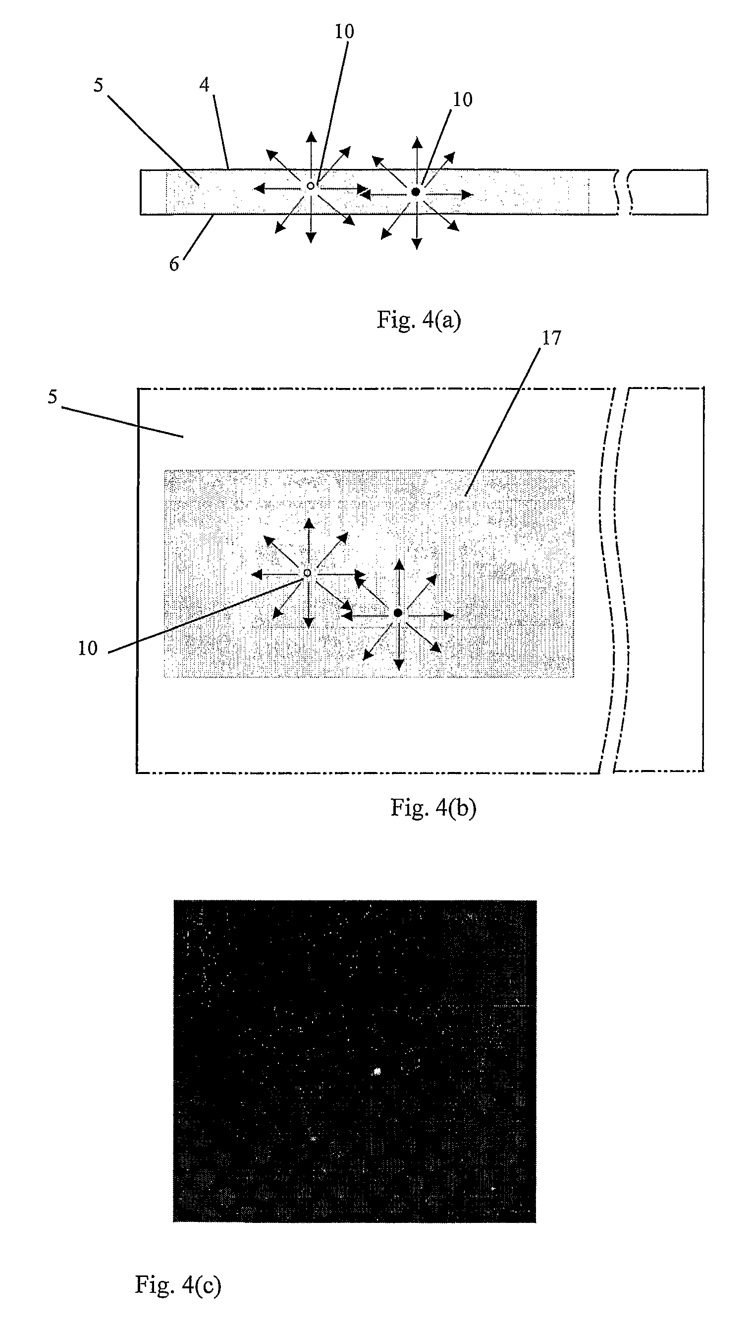 Method and apparatus for detection of inclusion in glass
