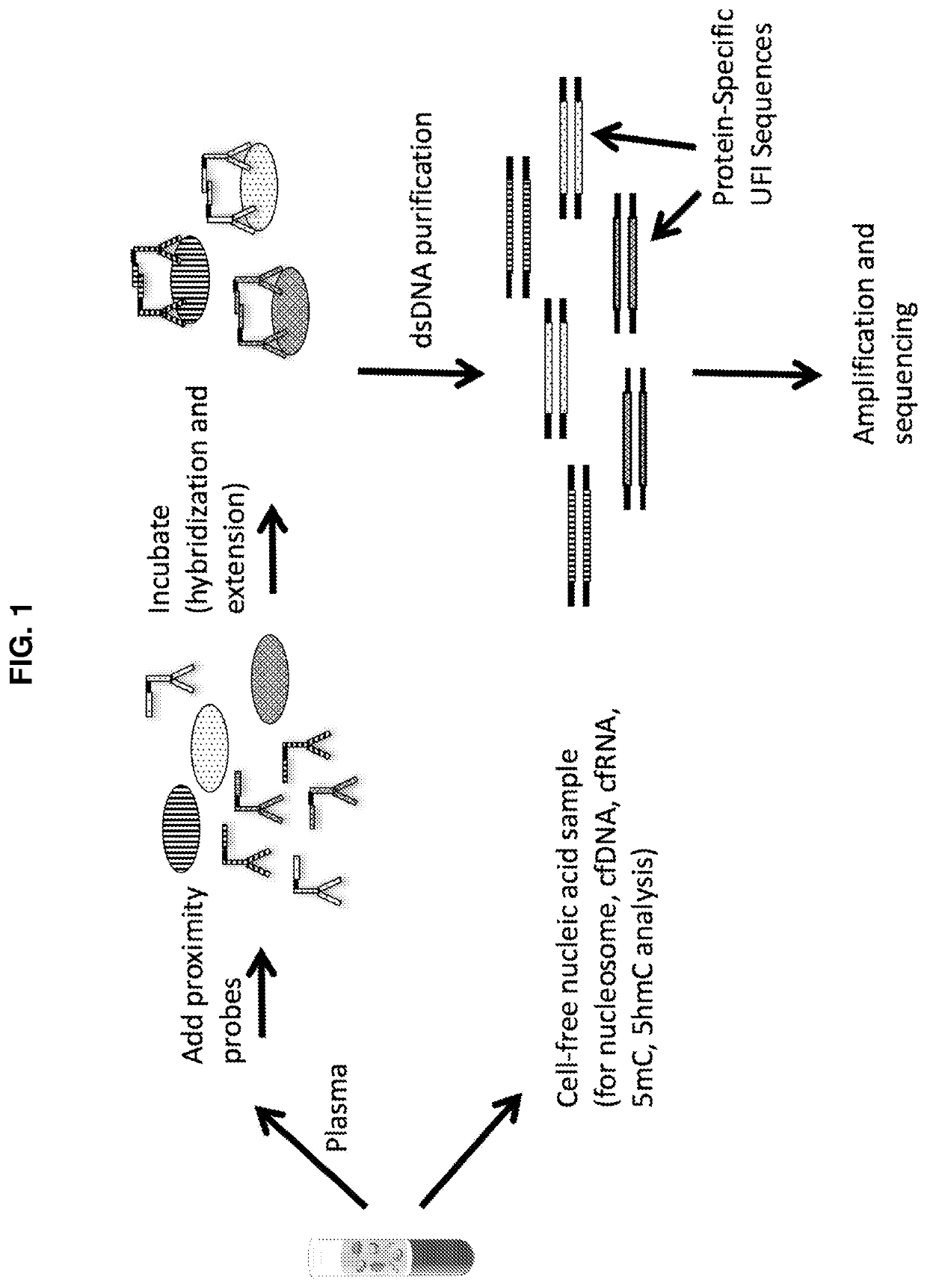 Simultaneous, sequencing-based analysis of proteins, nucleosomes, and cell-free nucleic acids from a single biological sample