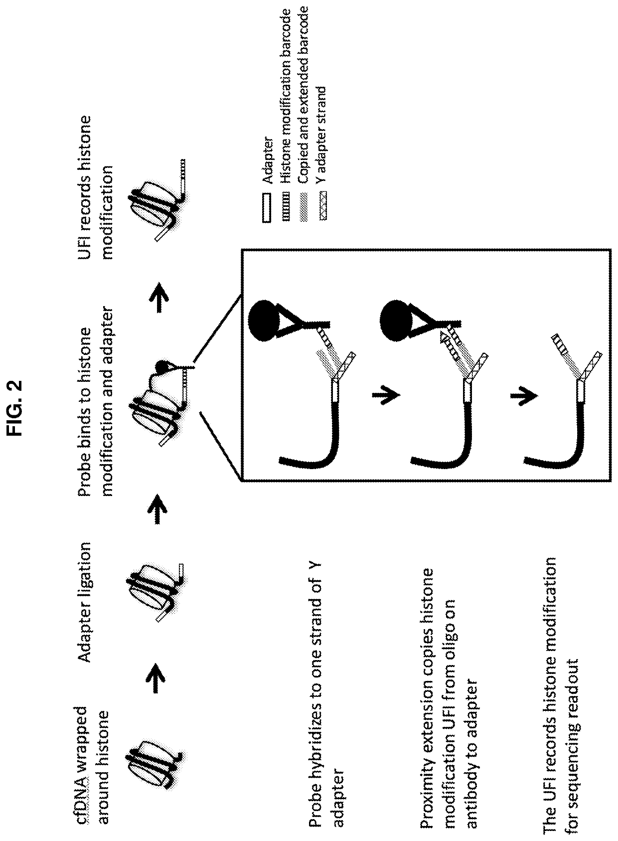 Simultaneous, sequencing-based analysis of proteins, nucleosomes, and cell-free nucleic acids from a single biological sample