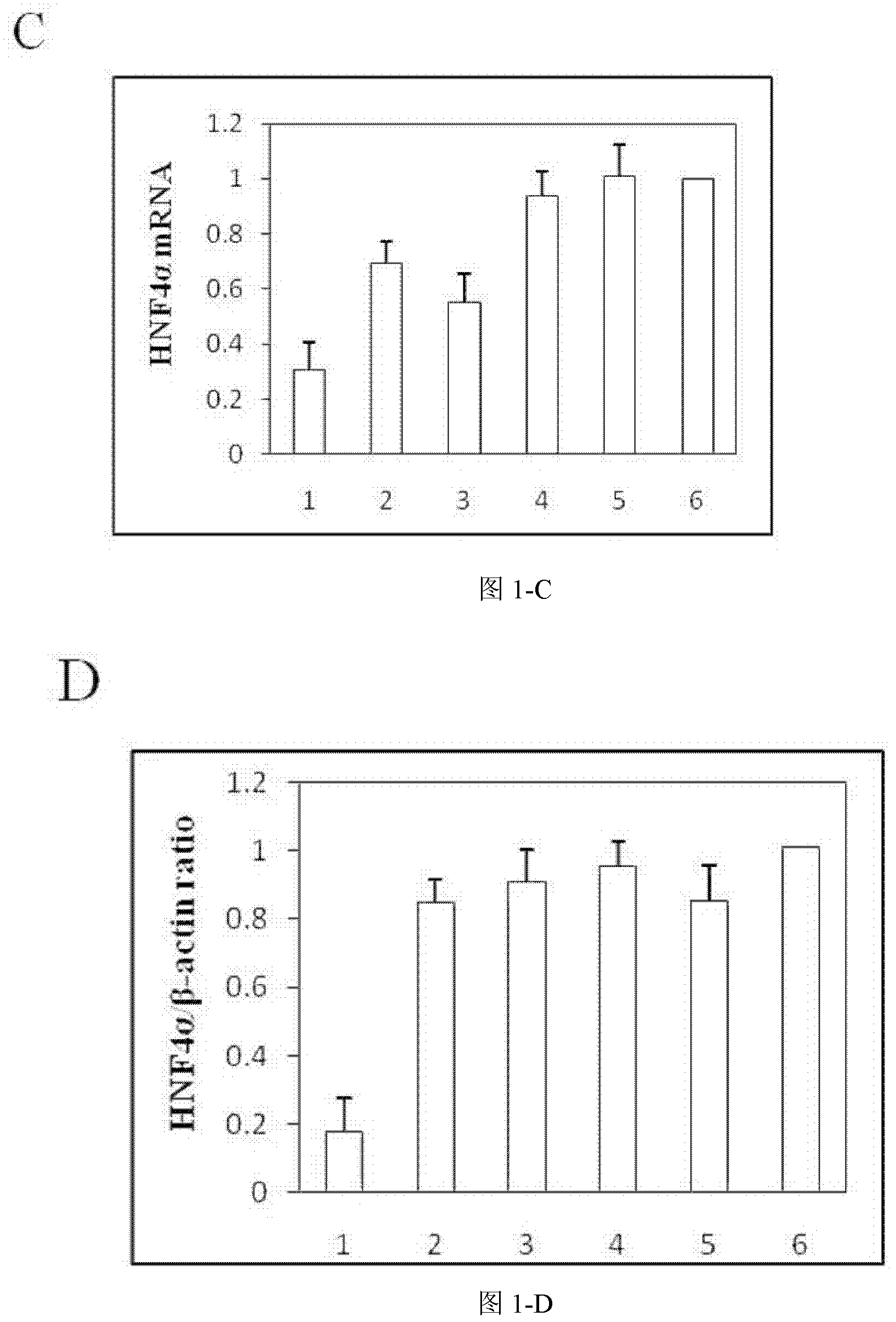 RNA interference sequence aiming at hepatocyte nuclear factor 4a and applications thereof