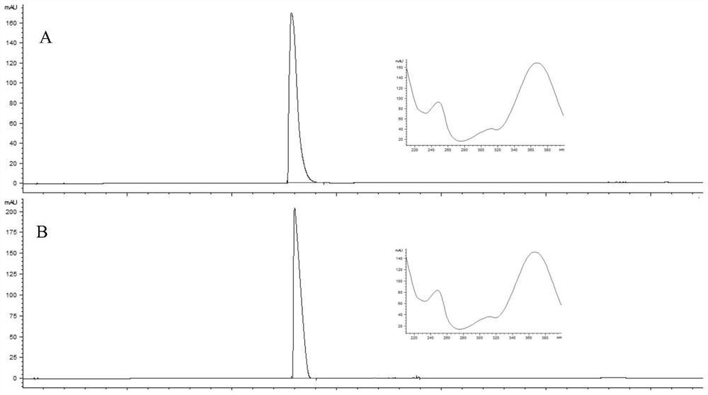 A method for separating and purifying dehydroevodiamine from Evodia rutaecarpa