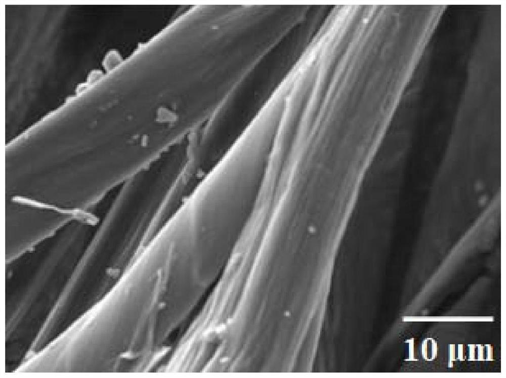 Amidoxime functional feather fiber adsorption material as well as preparation method and application thereof