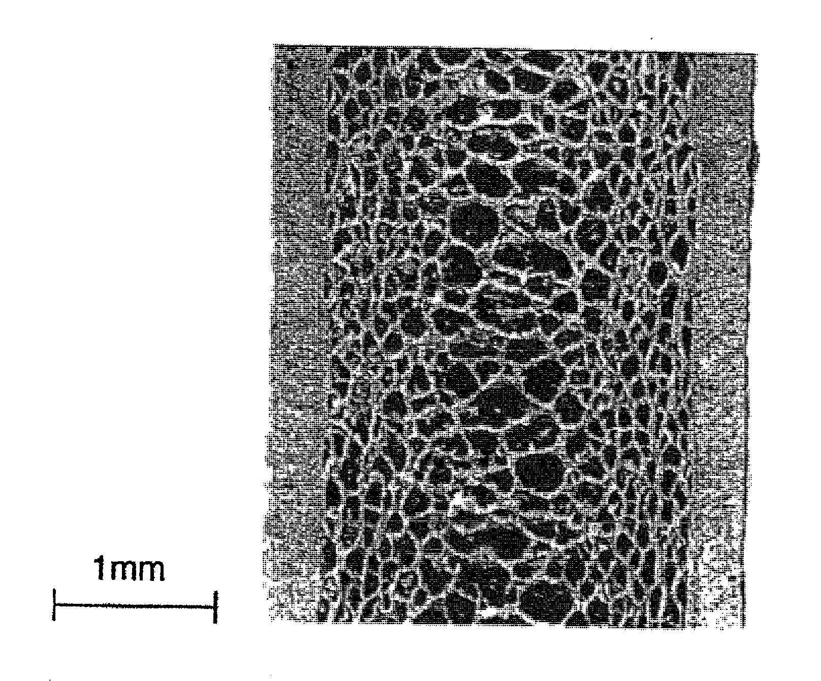 Foaming polypropylene resin composition and molded foam using the same