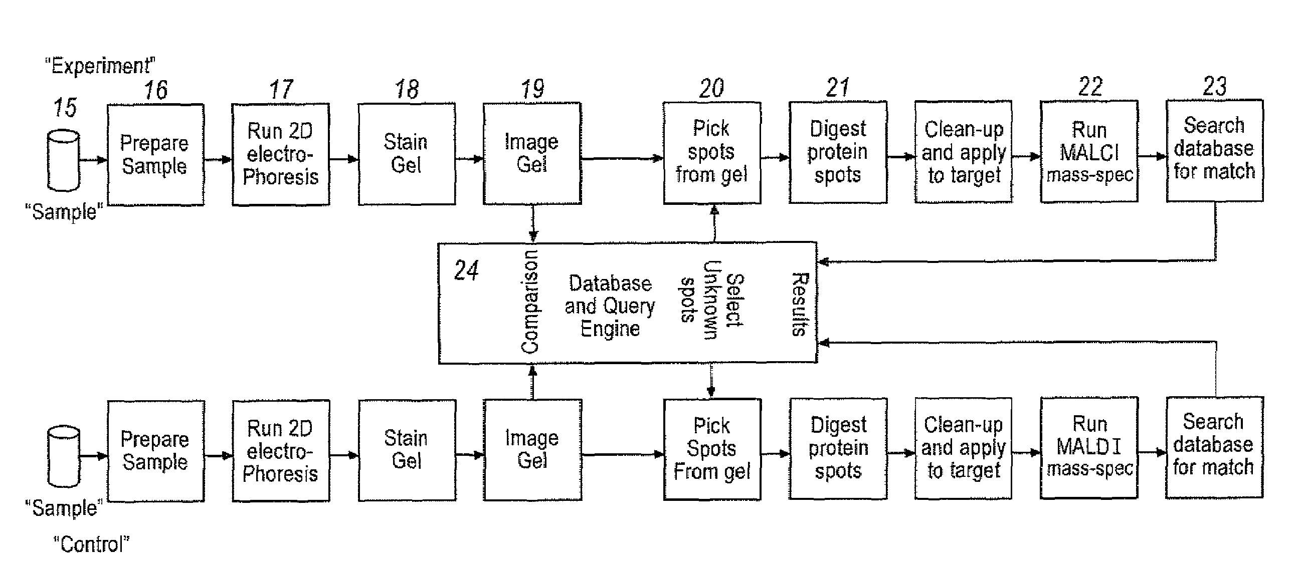 Method and apparatus for automated excision of samples from two-dimensional electrophoresis gels