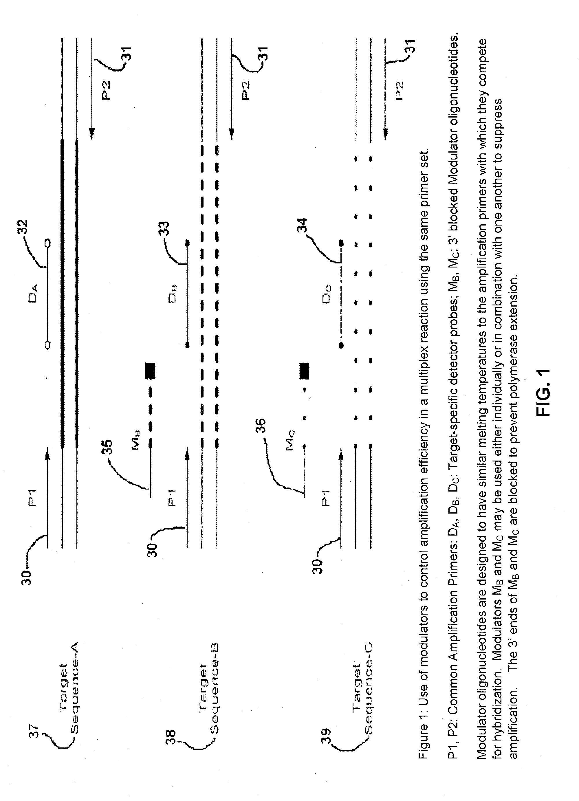 Methods and compositions for modulation of amplification efficiency