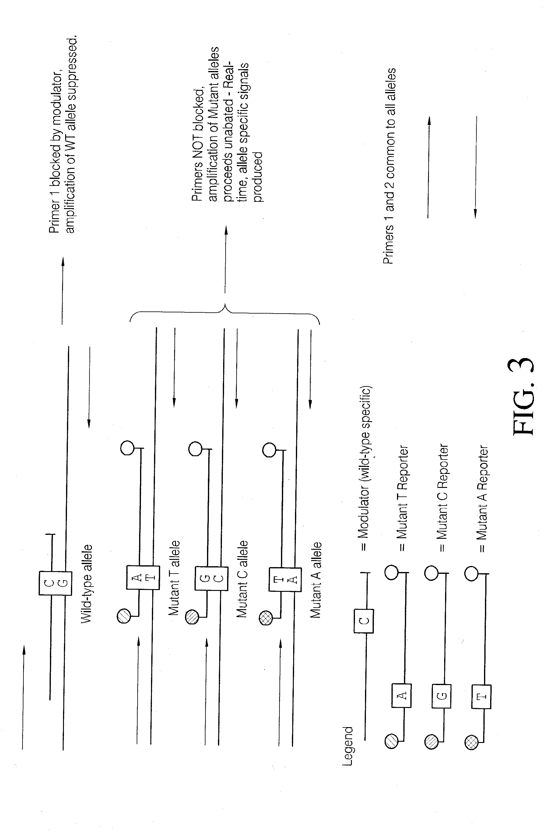 Methods and compositions for modulation of amplification efficiency