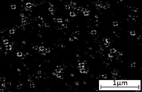 Emulsion with hair growth effect and preparation method thereof