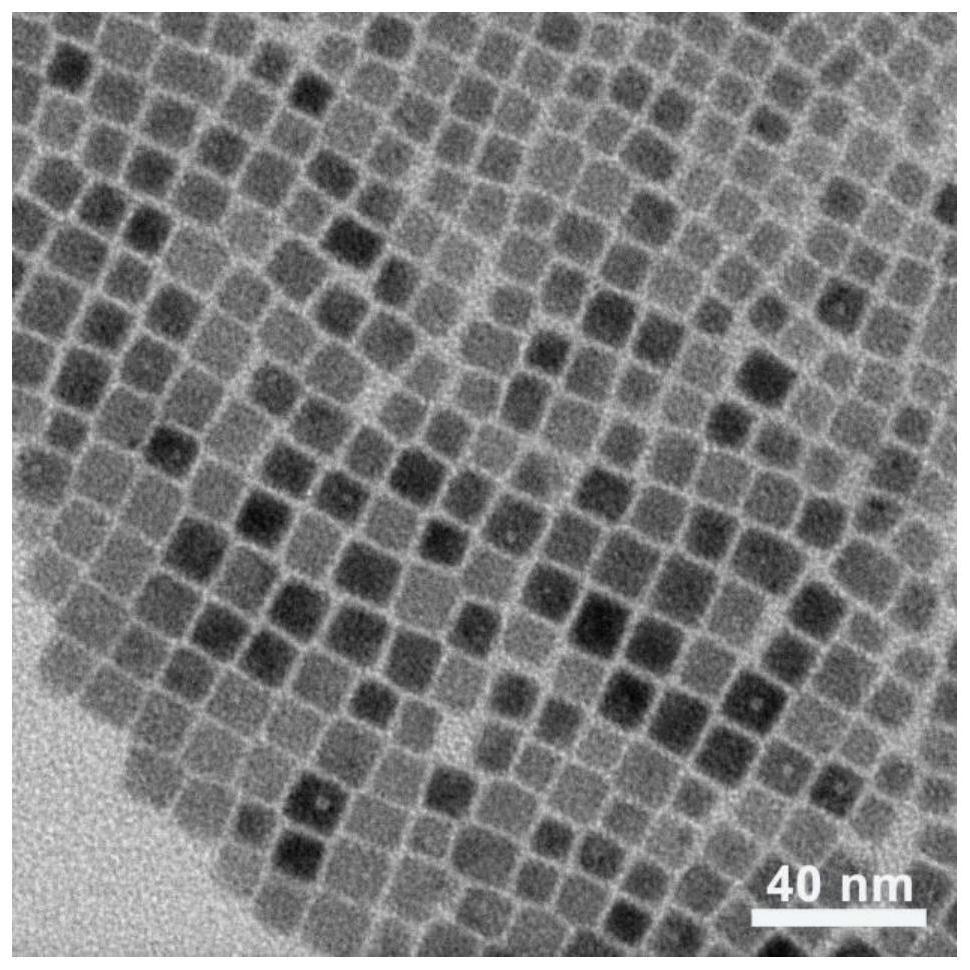 A metal halide perovskite cspbx  <sub>3</sub> Applications in Photocatalytic Biomimetic Biosynthesis