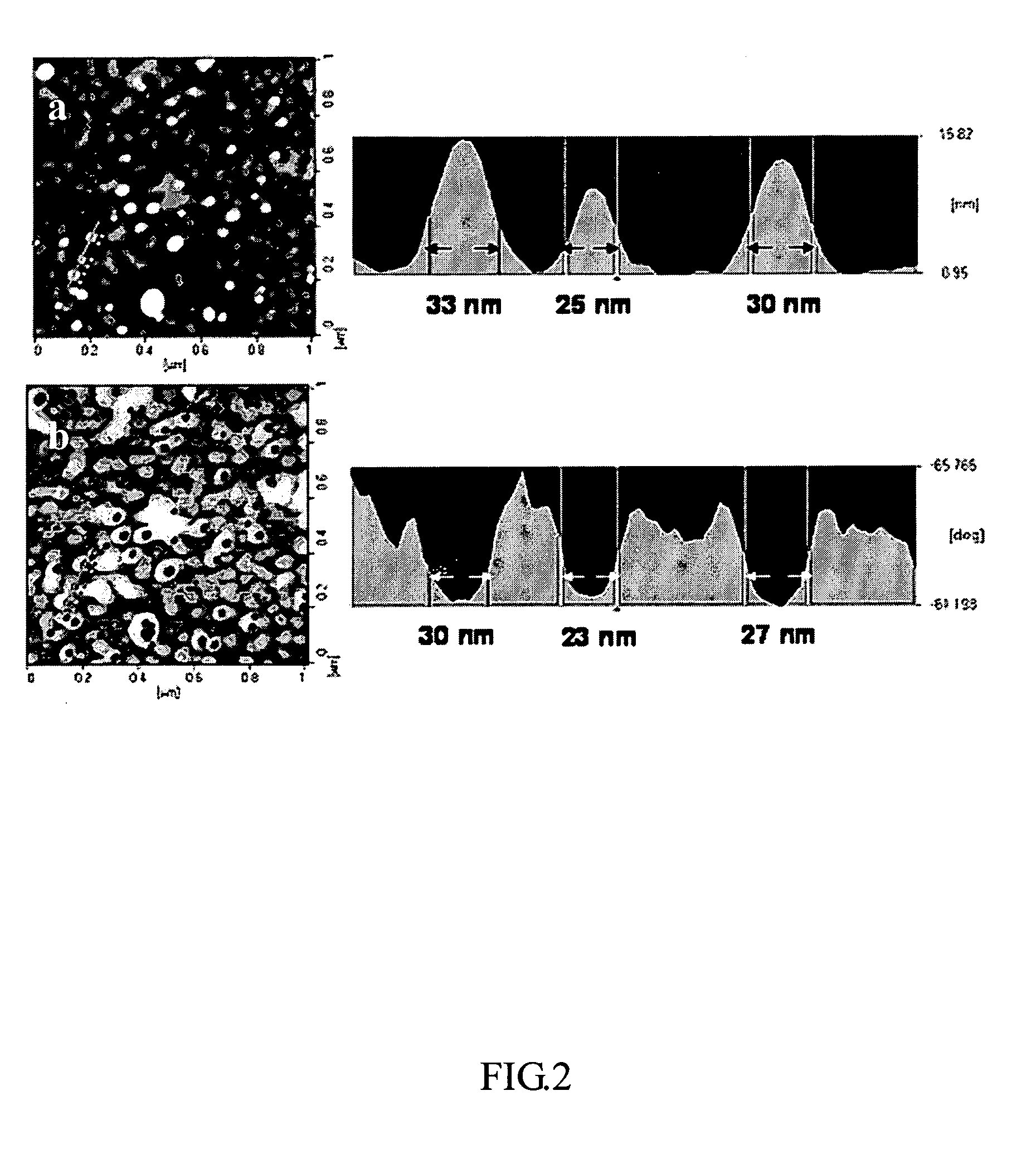 Polymeric polyamines and method for stabilizing silver nanoparticle by employing the same