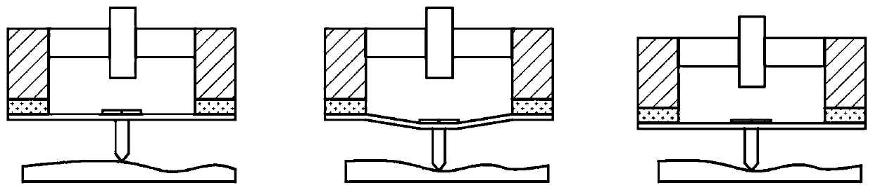 Micro-nano dual-mode detection processing module